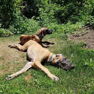 Meet your Posher, Beth